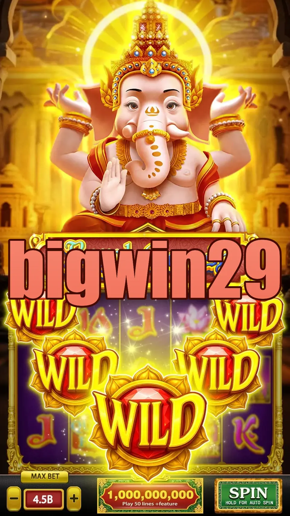 bigwin29 APK