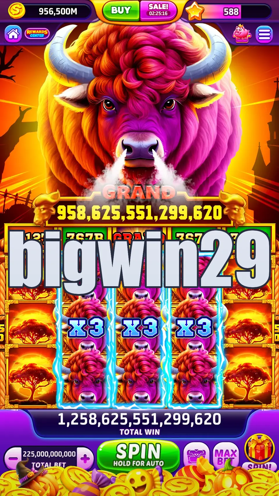 bigwin29 APK