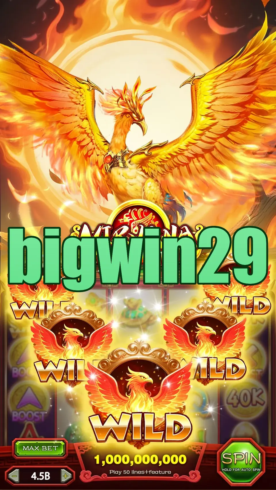 bigwin29 APK
